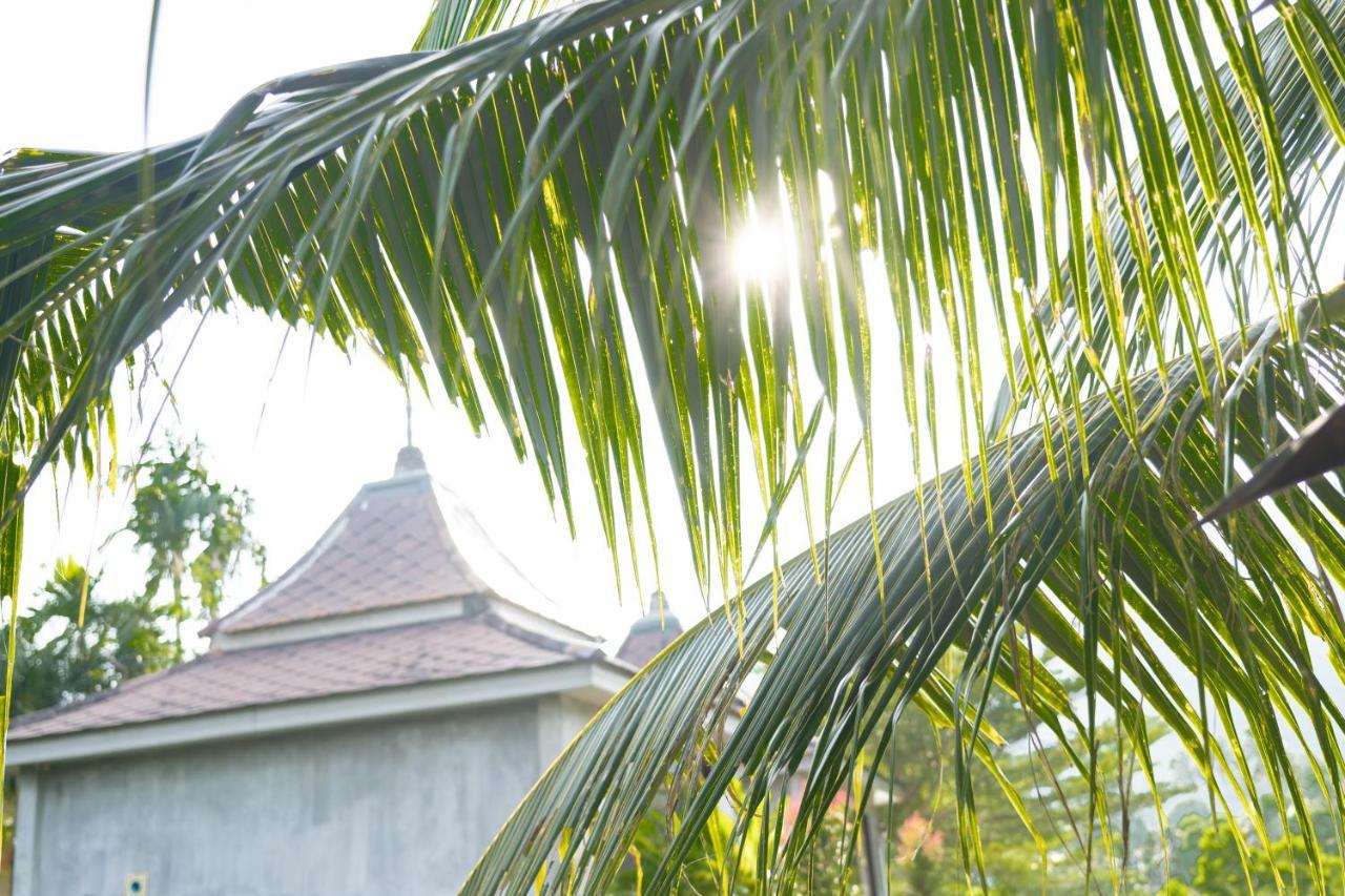 Anodard Phuket, Nai Yang Beach タラーン エクステリア 写真
